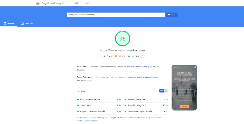 WordPress Site Speed WebsitesSeller.com - PageSpeed Insights report