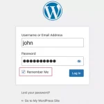 The Complete Guide to WP Admin and How to Optimize Your Site for Maximum Performance